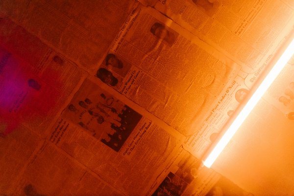 La brame du cerf : un spectacle inoubliable en nature