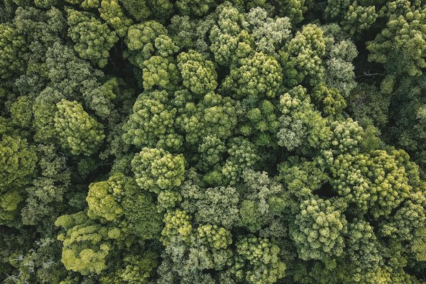 Transformez un coin restreint en havre de méditation : le guide ultime et pratique pour la pleine conscience
